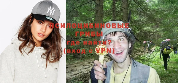 крисы Киренск