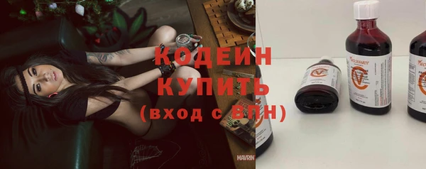 крисы Киренск