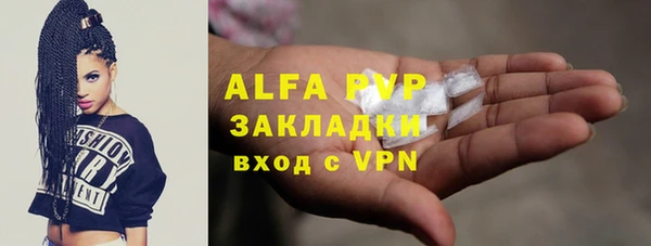 крисы Киренск