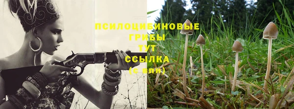 МДПВ Киреевск