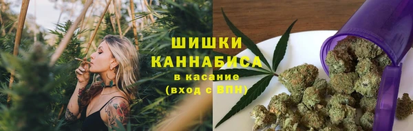 крисы Киренск
