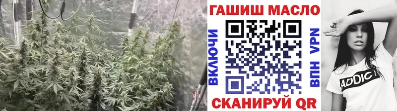 ТГК концентрат  Купить где  Дегтярск 