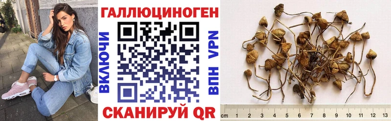 Галлюциногенные грибы Magic Shrooms  Купить где  Дегтярск 